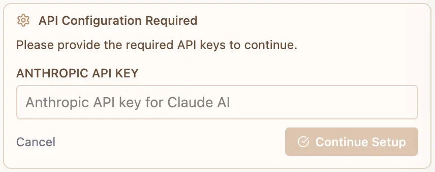 API Key panel